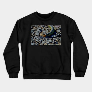 White-Lined Sphinx Moth Caterpillar Crewneck Sweatshirt